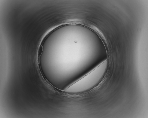 X0000099451336200805090720