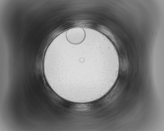 X0000099451338200805090720