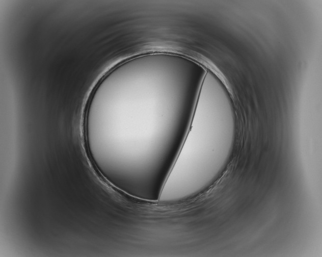 X0000099451339200805090720