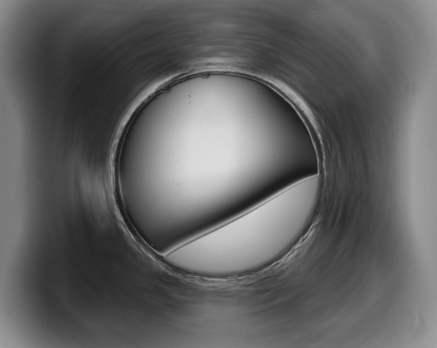 X0000099451341200805090720