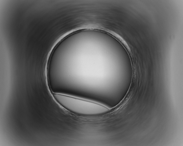 X0000099451343200805090720