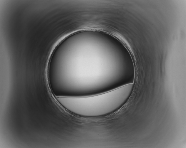 X0000099451344200805090720
