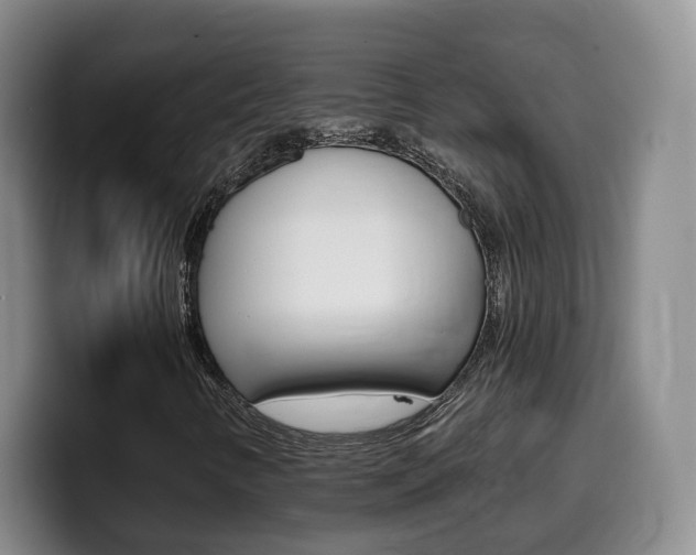 X0000099451346200805090719