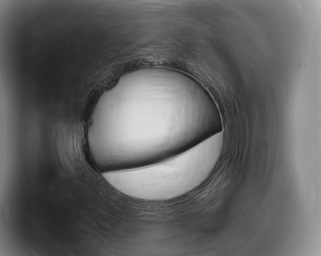 X0000099451347200805090719