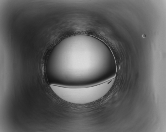 X0000099451348200805090719