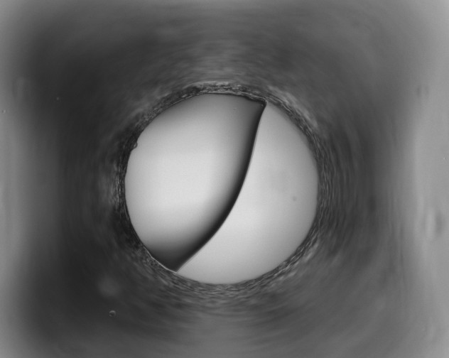 X0000099451350200805090719