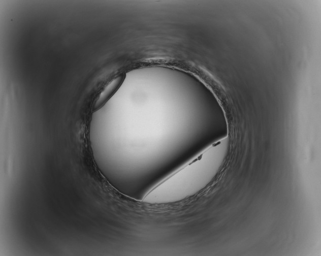 X0000099451351200805090719