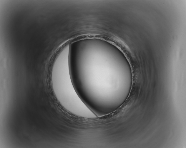 X0000099451352200805090719