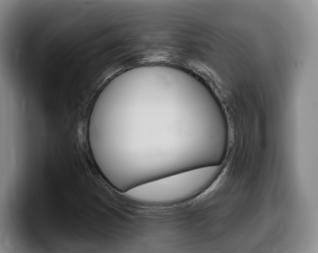 X0000099451353200805090719