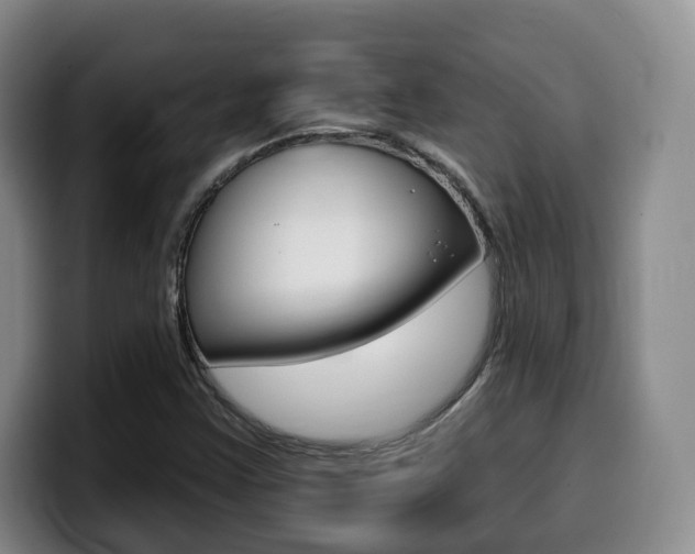 X0000099451355200805090719
