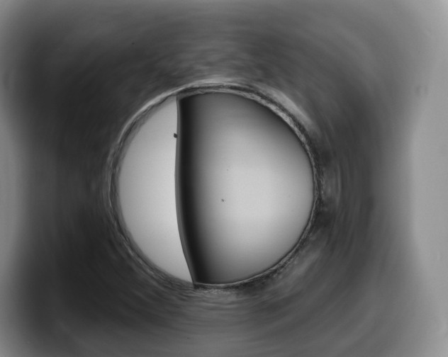 X0000099451356200805090719
