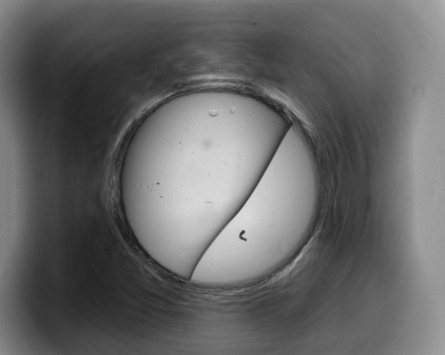 X0000099451357200805090719