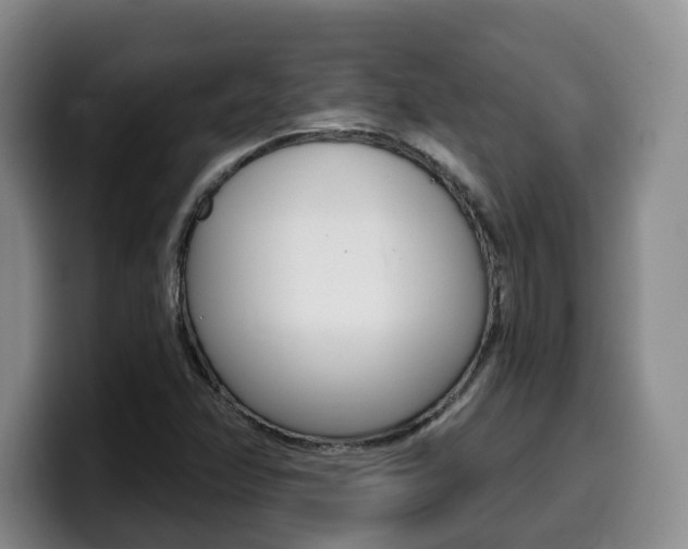 X0000099451358200805090719