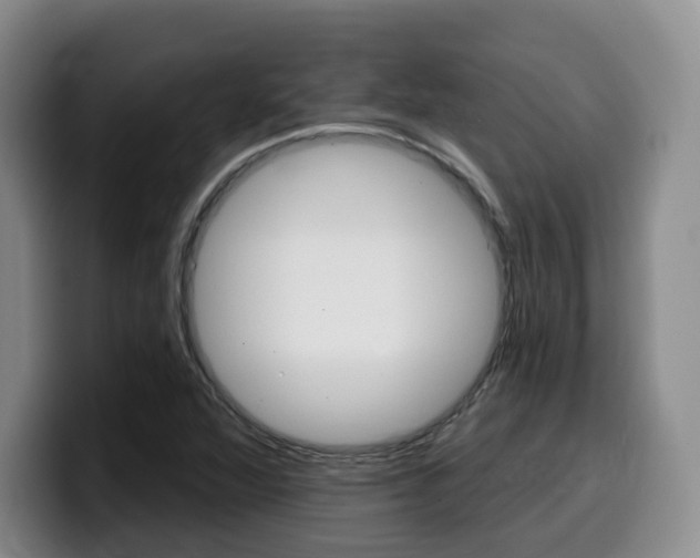 X0000099451360200805090719