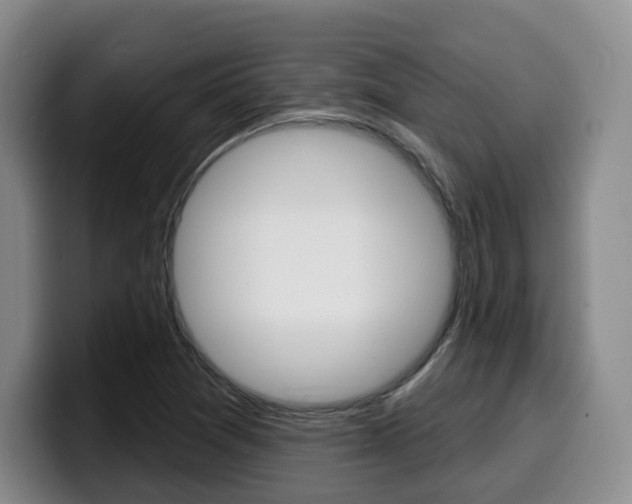 X0000099451361200805090719