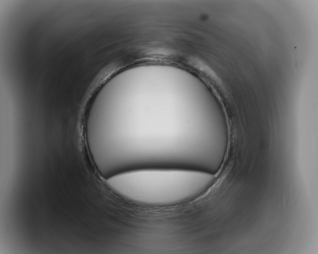 X0000099451362200805090719