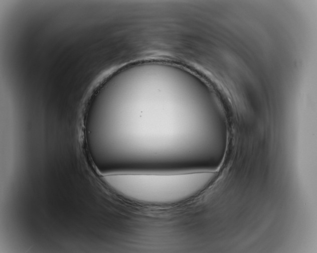 X0000099451363200805090719