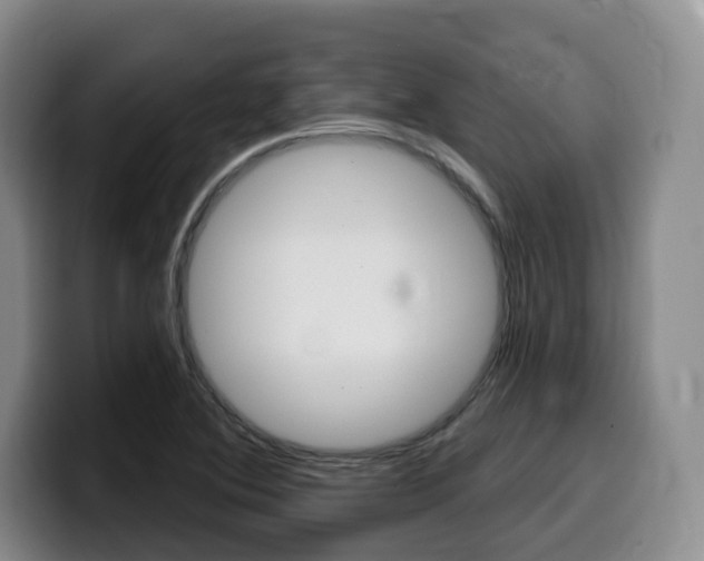 X0000099451364200805090719