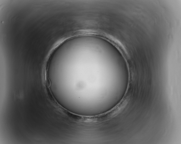 X0000099451365200805090719