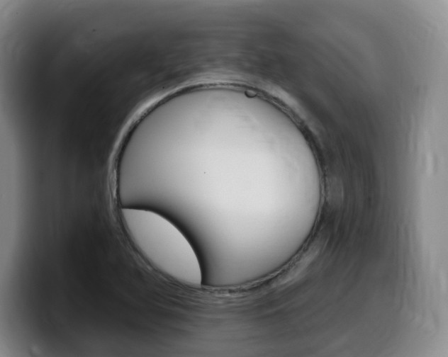 X0000099451366200805090719