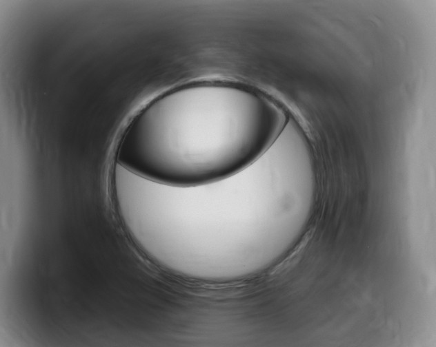 X0000099451367200805090719