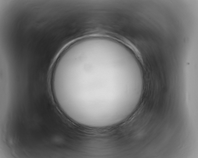 X0000099451368200805090719