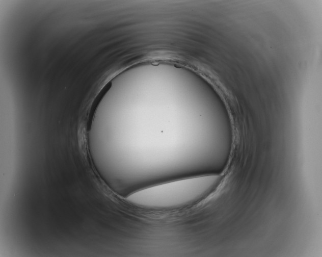 X0000099451369200805090719