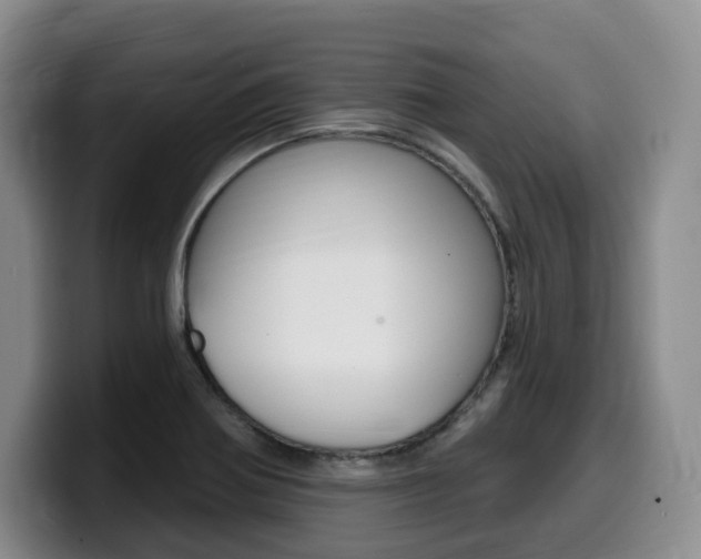 X0000099451370200805090719