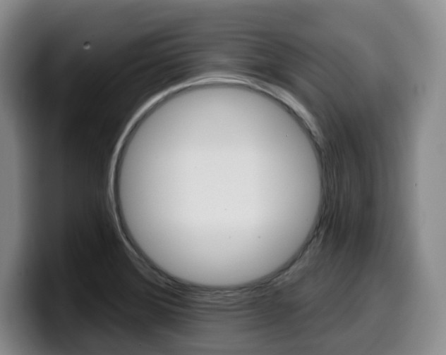 X0000099451372200805090719
