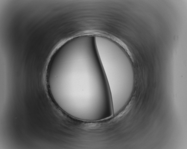 X0000099451373200805090719