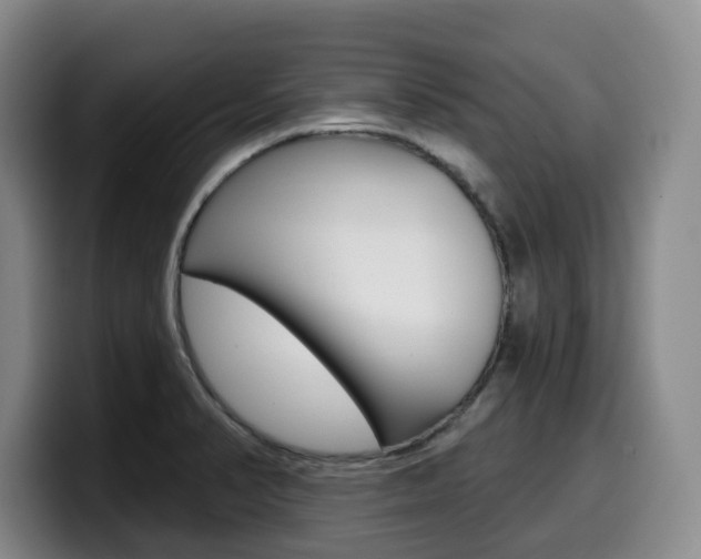 X0000099451374200805090719