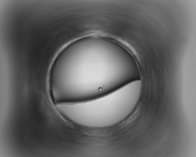 X0000099451375200805090719