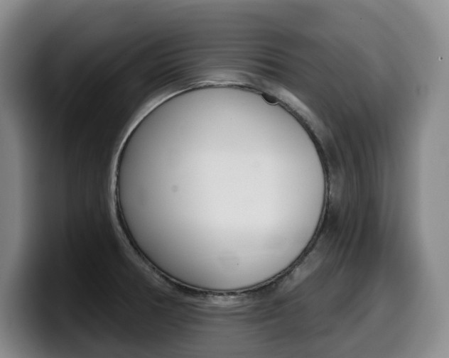 X0000099451378200805090719
