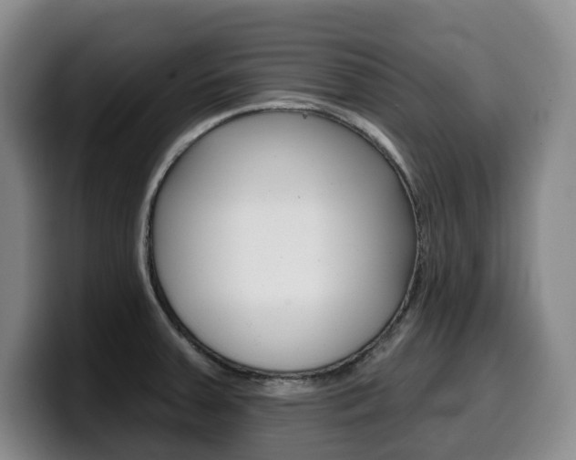 X0000099451379200805090719