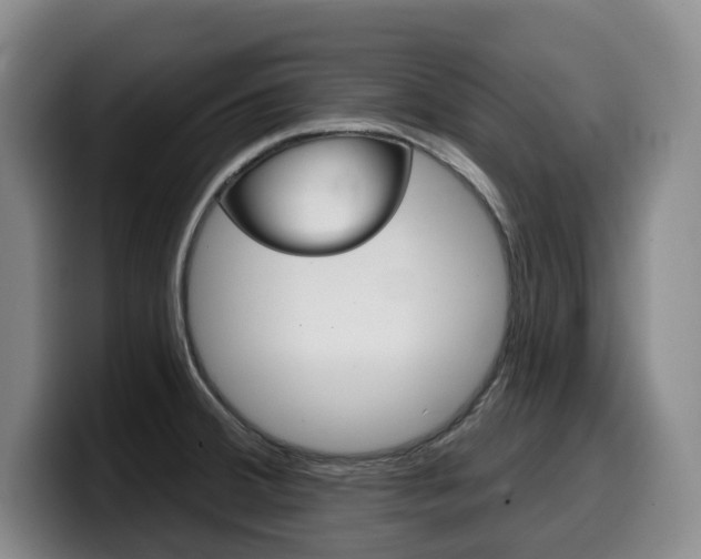 X0000099451380200805090719