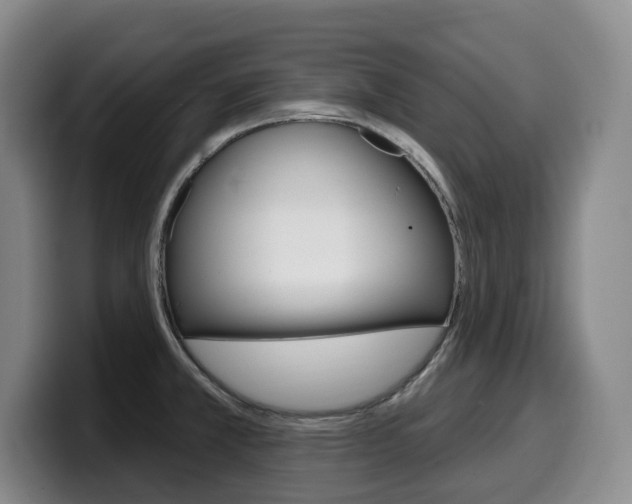 X0000099451381200805090719