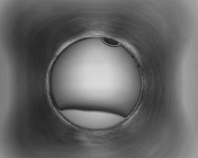 X0000099451382200805090719