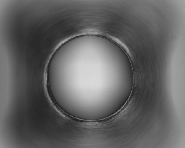 X0000099451383200805090719