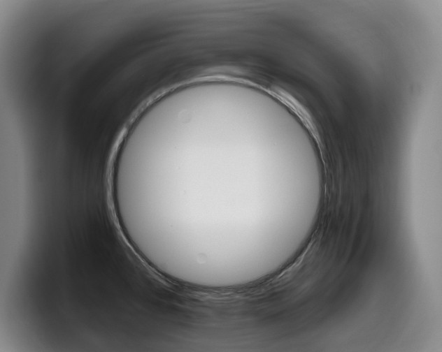 X0000099451384200805090719