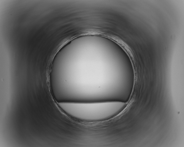 X0000099451385200805090719