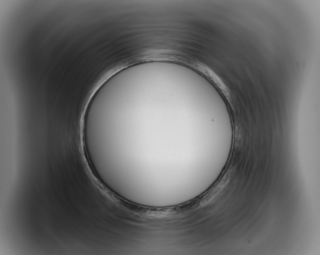 X0000099451386200805090719
