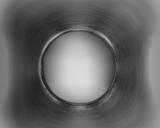 X0000099451387200805090719