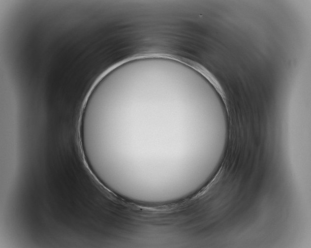 X0000099451388200805090719