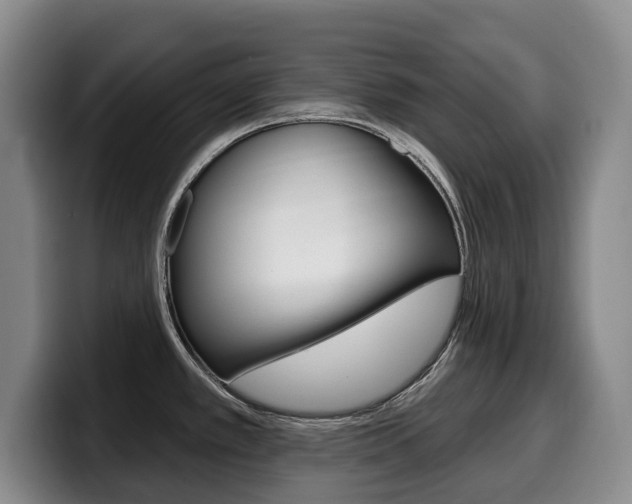 X0000099451389200805090719