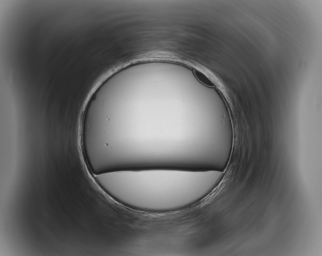 X0000099451390200805090719