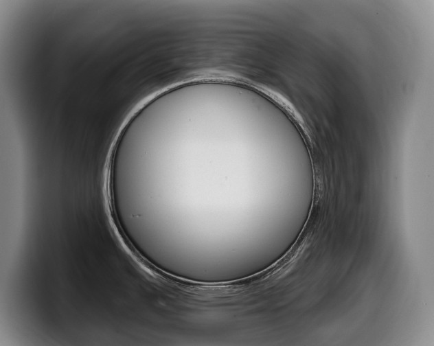 X0000099451391200805090719