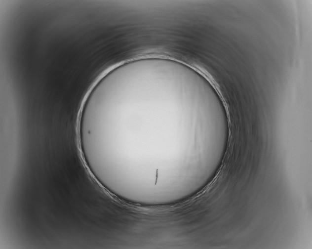 X0000099451392200805090719