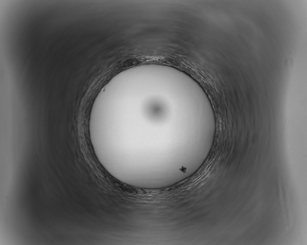 X0000099451393200805090718