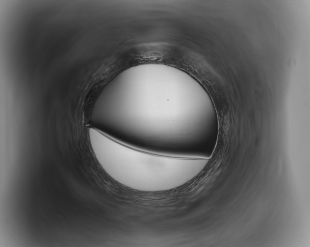 X0000099451394200805090718