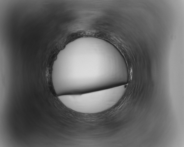 X0000099451395200805090718
